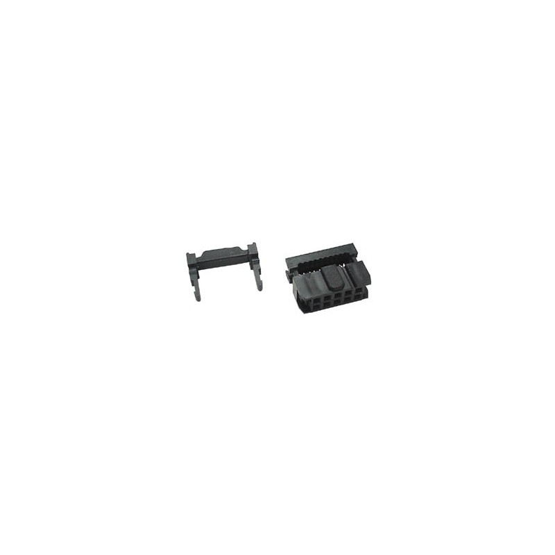 Lot De 2 Câbles Rubans Plats IDC 10 Broches – 20 Cm, Pas 1.27mm, Pour Câblage Interne