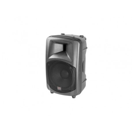 VERSATILE HIGH EFFICIENCY TWO-WAY VENTED 12 LOUDSPEAKER. BLACK