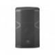 500 W RMS. MULTIPURPOSE. 1 X 12