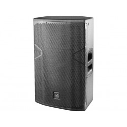 500 W RMS. MULTIPURPOSE. 1 X 15
