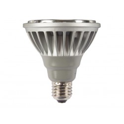LAMPE LED PAR30 E27 - COB - 15 W - 3000 K