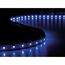 FLEXIBLE LED - ULTRAVIOLET - 300 LEDs - 5 m - 24 V