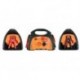 BOOSTER DE DEMARRAGE AVEC SORTIES 12 VCC & USB