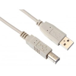 CABLE USB 2.0 - FICHE TYPE A VERS USB TYPE B / CUIVRE / DE BASE / 1.8 m / DORE / M-M